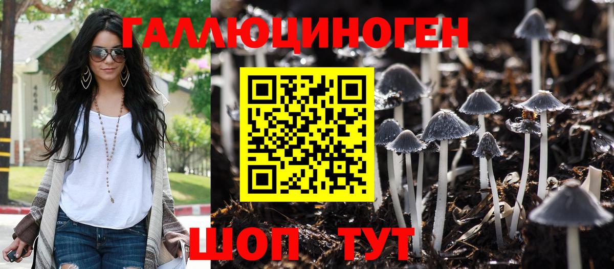 Кимовск  Галлюциногенные грибы Psilocybe  Вход с VPN 
