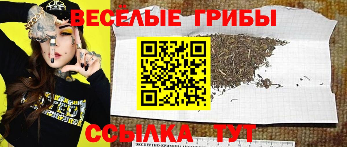 Галлюциногенные грибы ЛСД Кимовск